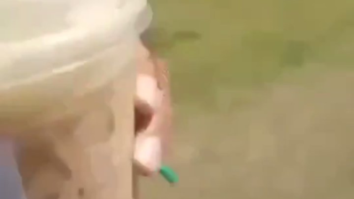 ‘Piece of s**t’: Person sips coffee, strolls past victim amid fatal mass shooting at Florida State University ‘Piece of s**t’: Person sips coffee, strolls past victim amid fatal mass shooting at Florida State University