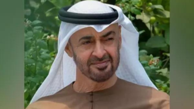 UAE President sends letter to Japan’s PM delivered by UAE special envoy | World News